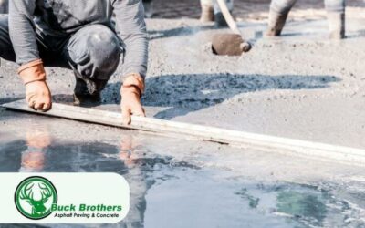 Paving The Path To Success: What To Look For In A Commercial Concrete Service Provider